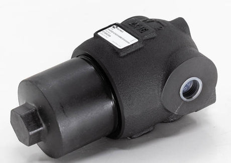 FH420D125G25ABB3D0S000S0 in-line filter (pressure line)