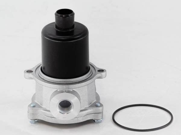 FRTR110G10BBB30C000S0 in-line filter (pressure line)