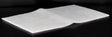 N 05700370 SA air filter element (foam)