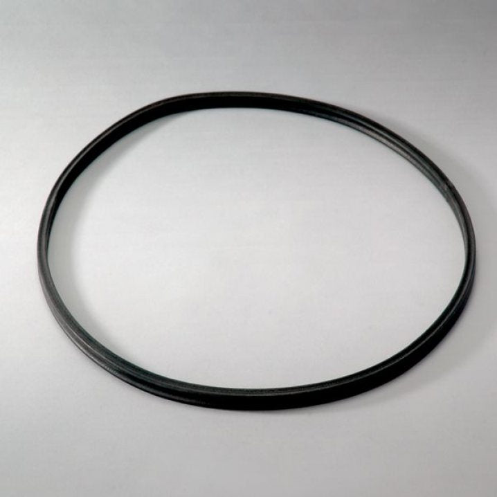 P016972 gasket kit