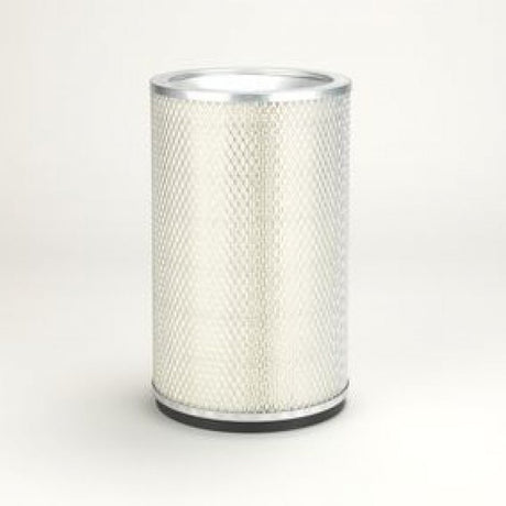 P124366 air filter element (secondary)