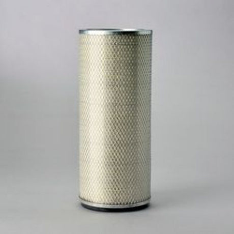 P124860 air filter element (secondary)