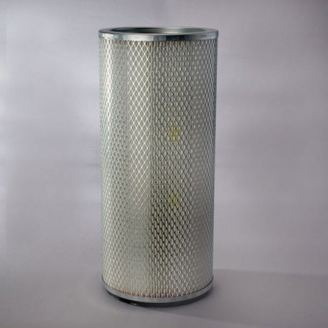 P137641 air filter element (secondary)