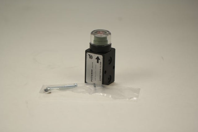 P171950 service indicator (visual)