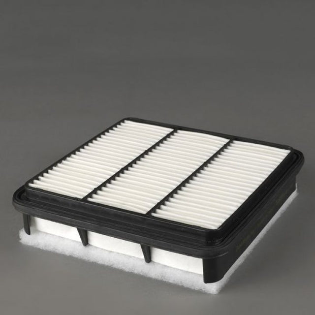 P506010 air filter element