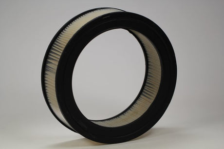 P524391 air filter element