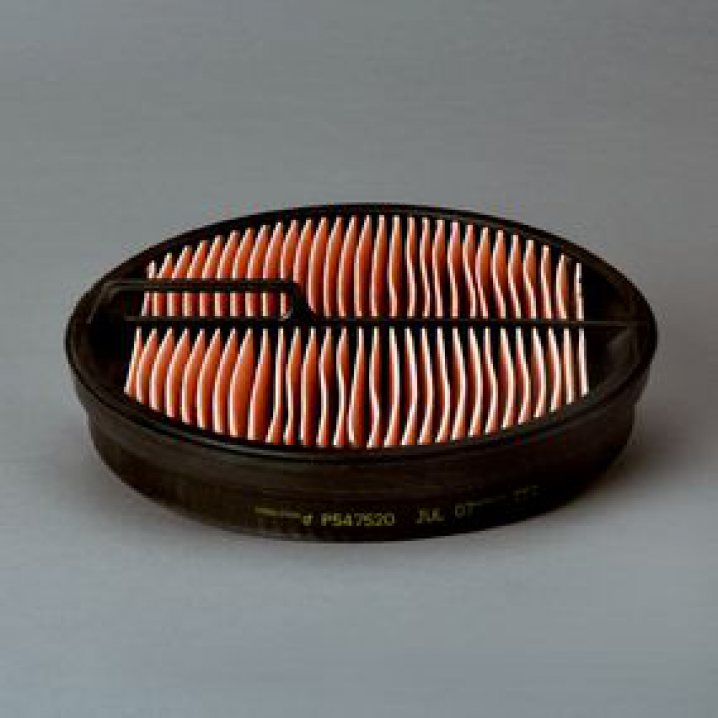 P547520 air filter element (secondary)