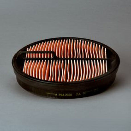 P547520 air filter element (secondary)