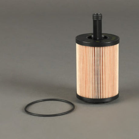 P550819 oil filter