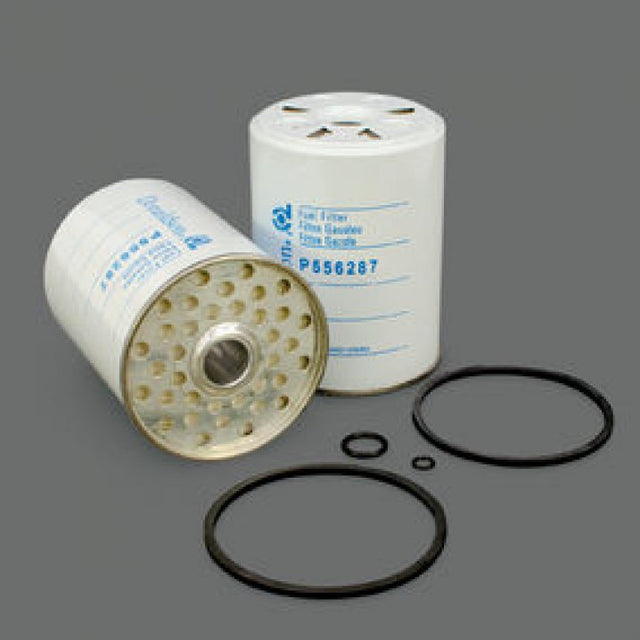 P556287 fuel filter