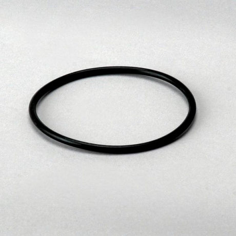 P563975 gasket