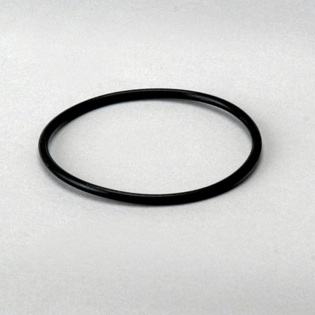 P563975 gasket