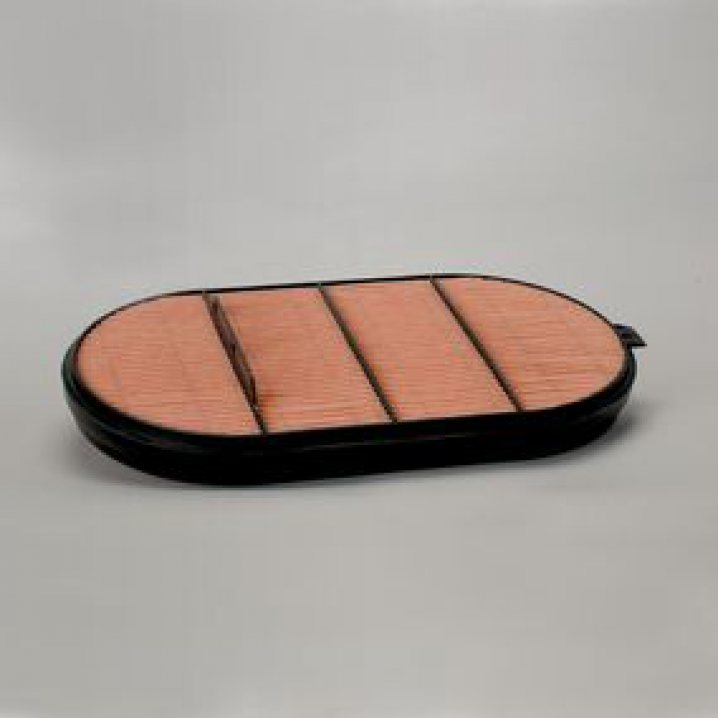 P621984 air filter element (secondary)