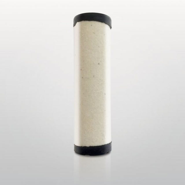 P628400 air filter element (secondary)