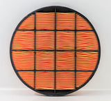 P636759 air filter element (secondary)