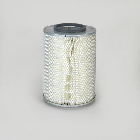 P780165 air filter element