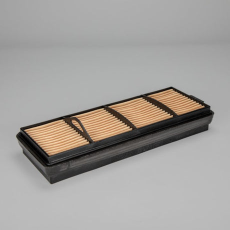 P958671 air filter element (secondary)