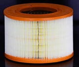 SA 12138 air filter element