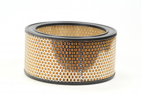 SA 17197 air filter element