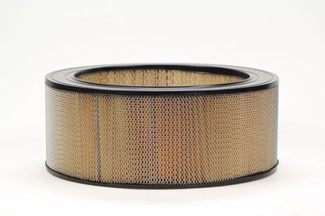 SA 19427 air filter element