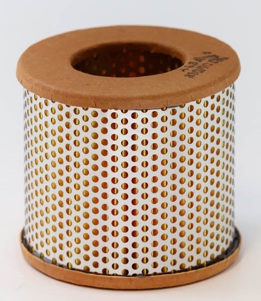 SN 70173 fuel filter (element)