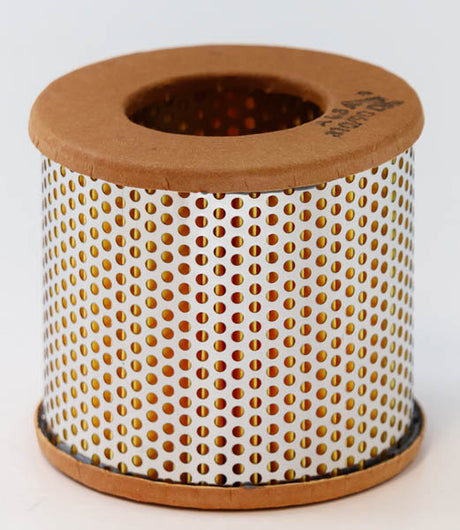 SN 70173 fuel filter (element)