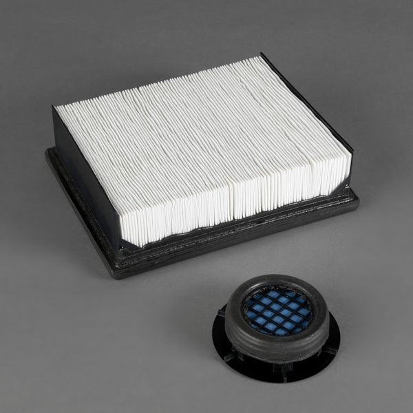 X770818 air filter element (service kit)